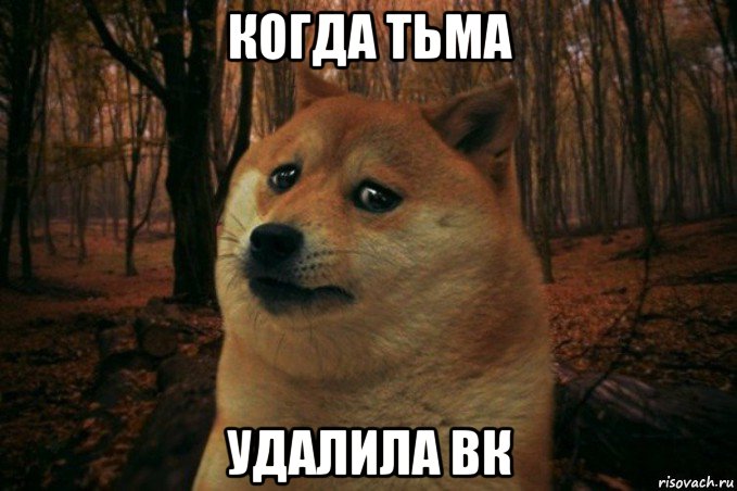 когда тьма удалила вк, Мем SAD DOGE