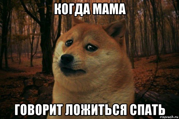 когда мама говорит ложиться спать, Мем SAD DOGE