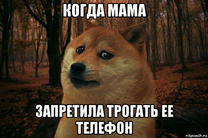 когда мама запретила трогать ее телефон, Мем SAD DOGE