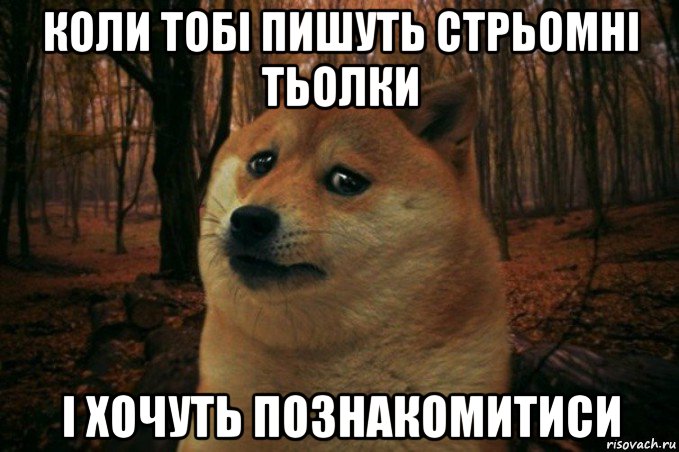 коли тобі пишуть стрьомні тьолки і хочуть познакомитиси, Мем SAD DOGE