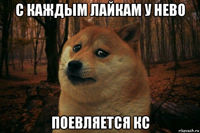 с каждым лайкам у нево поевляется кс, Мем SAD DOGE