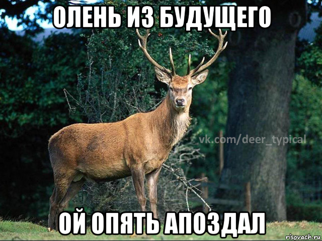 олень из будущего ой опять апоздал, Мем Паблик Типичный олень