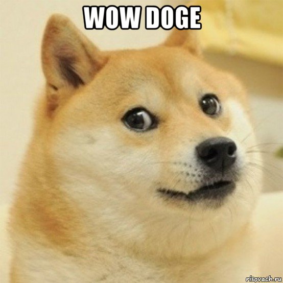 wow doge , Мем  Собака удивлена