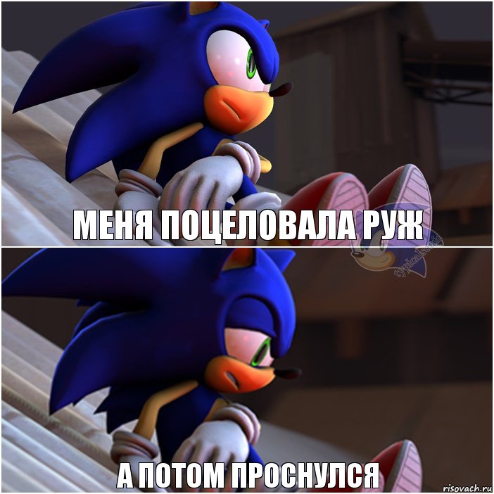 Меня поцеловала РУЖ А потом проснулся, Комикс Sonic 1