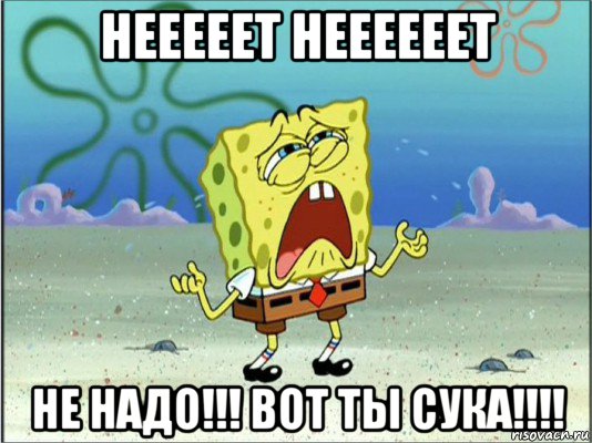 нееееет неееееет не надо!!! вот ты сука!!!!, Мем Спанч Боб плачет