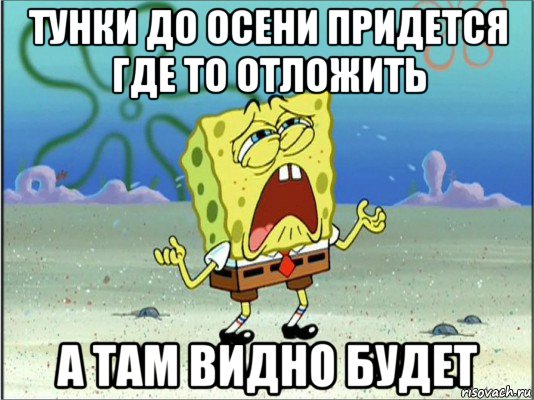 тунки до осени придется где то отложить а там видно будет, Мем Спанч Боб плачет