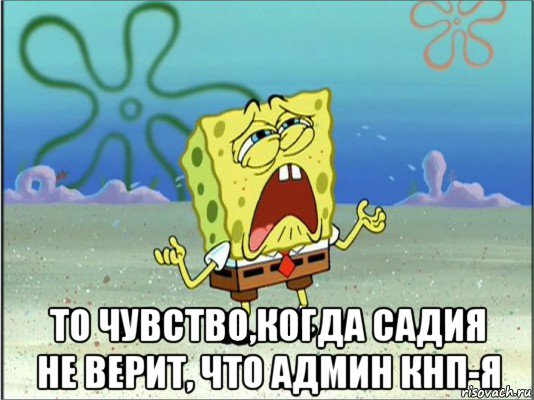  то чувство,когда садия не верит, что админ кнп-я, Мем Спанч Боб плачет