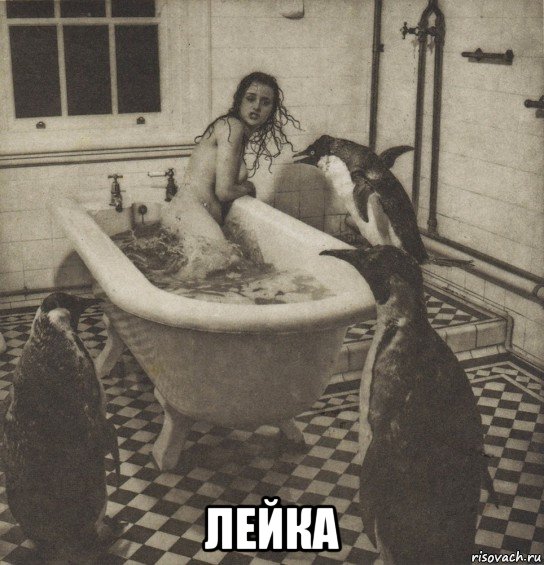  лейка, Мем Столбняк