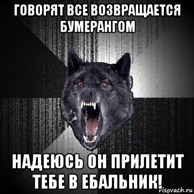 говорят все возвращается бумерангом надеюсь он прилетит тебе в ебальник!, Мем Сумасшедший волк