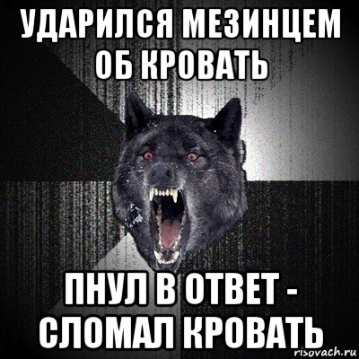 ударился мезинцем об кровать пнул в ответ - сломал кровать, Мем Сумасшедший волк