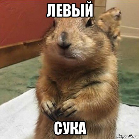 левый сука, Мем Суслик спрашивает