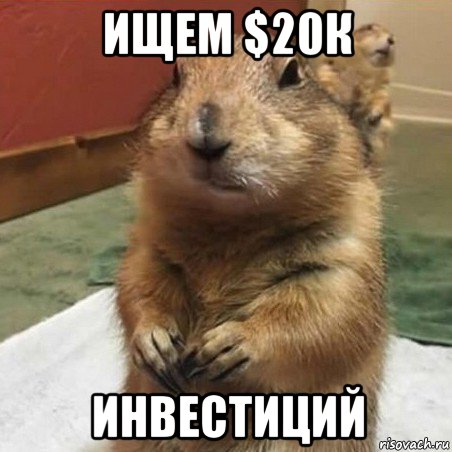 ищем $20к инвестиций, Мем Суслик спрашивает