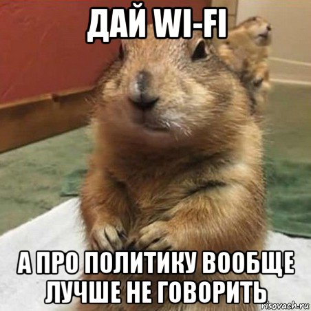 дай wi-fi а про политику вообще лучше не говорить, Мем Суслик спрашивает