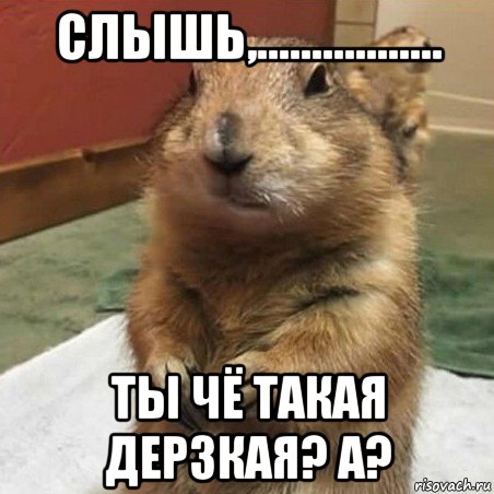 слышь,................. ты чё такая дерзкая? а?