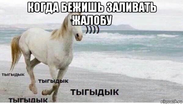 когда бежишь заливать жалобу , Мем   Тыгыдык