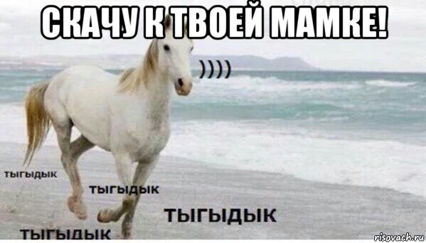 скачу к твоей мамке! , Мем   Тыгыдык