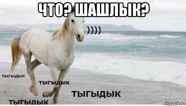 что? шашлык? , Мем   Тыгыдык