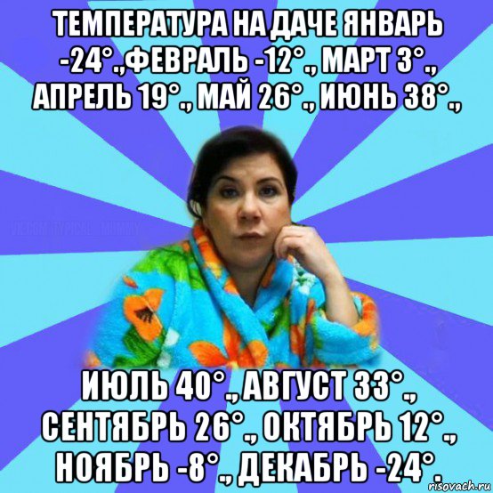 температура на даче январь -24°.,февраль -12°., март 3°., апрель 19°., май 26°., июнь 38°., июль 40°., август 33°., сентябрь 26°., октябрь 12°., ноябрь -8°., декабрь -24°., Мем типичная мама