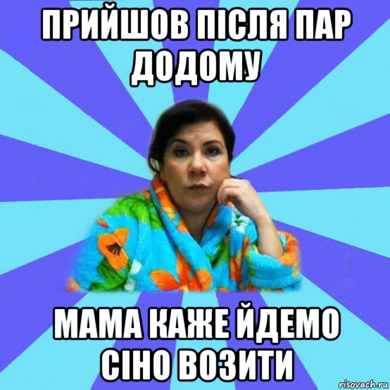 прийшов після пар додому мама каже йдемо сіно возити, Мем типичная мама