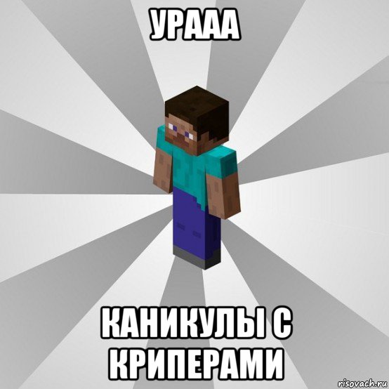 урааа каникулы с криперами, Мем Типичный игрок Minecraft