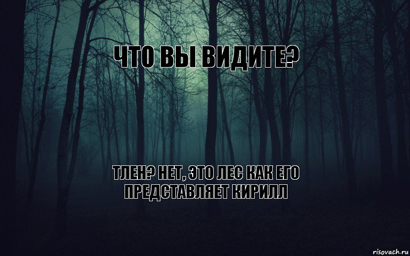 Что вы видите?   Тлен? Нет, это лес как его представляет Кирилл, Комикс тлен