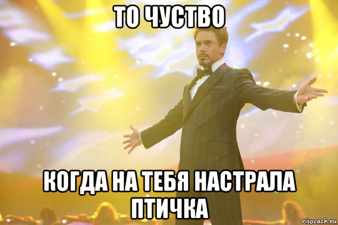 то чуство когда на тебя настрала птичка, Мем Тони Старк (Роберт Дауни младший)