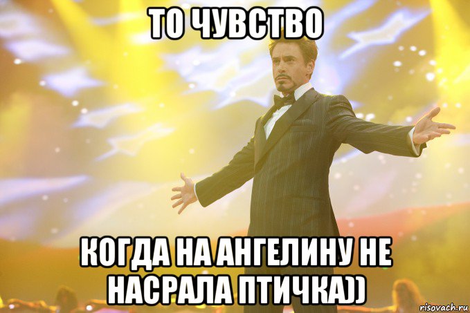 то чувство когда на ангелину не насрала птичка)), Мем Тони Старк (Роберт Дауни младший)