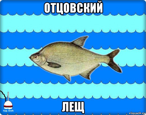 отцовский лещ