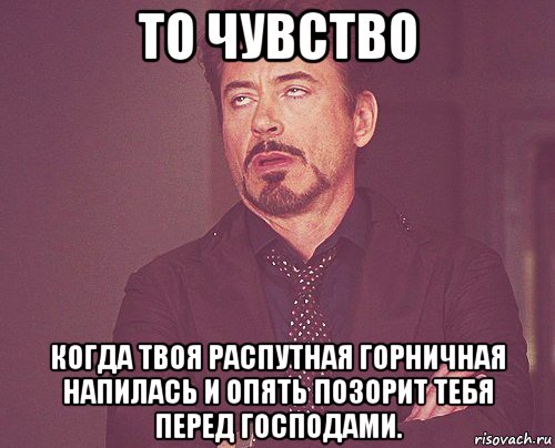 то чувство когда твоя распутная горничная напилась и опять позорит тебя перед господами., Мем твое выражение лица