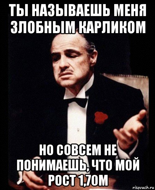 ты называешь меня злобным карликом но совсем не понимаешь, что мой рост 1,70м, Мем ты делаешь это без уважения