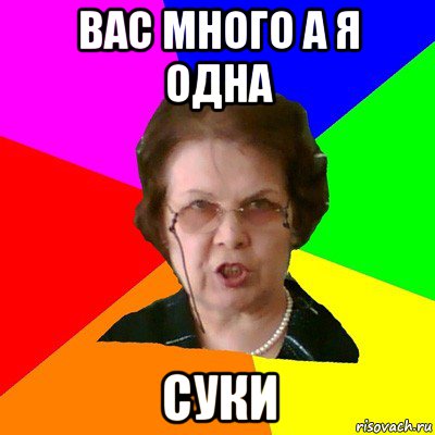 вас много а я одна суки, Мем Типичная училка