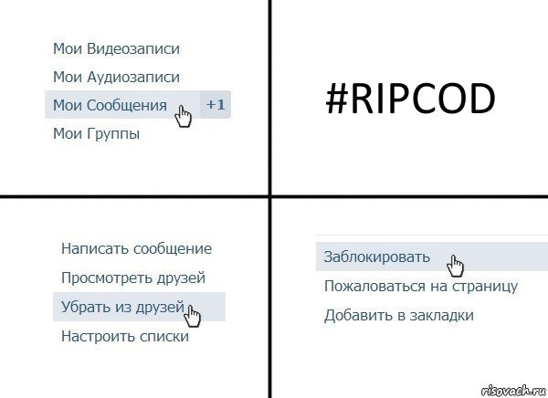 #RIPCOD, Комикс  Удалить из друзей