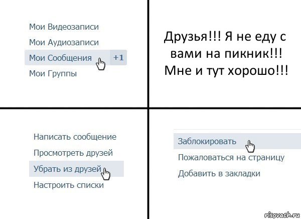 Друзья!!! Я не еду с вами на пикник!!! Мне и тут хорошо!!!, Комикс  Удалить из друзей