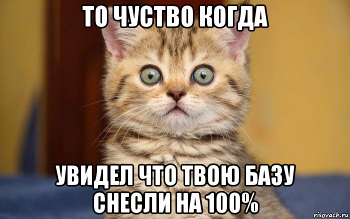 то чуство когда увидел что твою базу снесли на 100%, Мем  удивление