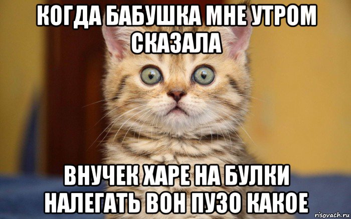 когда бабушка мне утром сказала внучек харе на булки налегать вон пузо какое, Мем  удивление