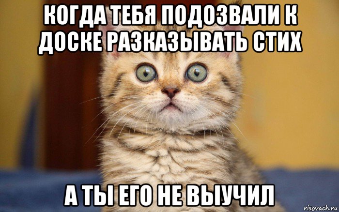 когда тебя подозвали к доске разказывать стих а ты его не выучил, Мем  удивление