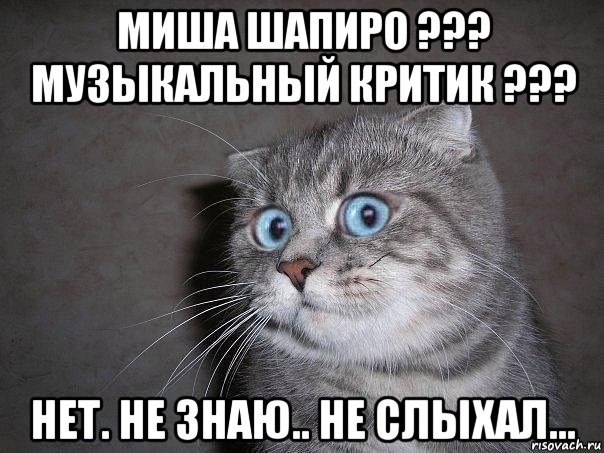 миша шапиро ??? музыкальный критик ??? нет. не знаю.. не слыхал..., Мем  удивлённый кот