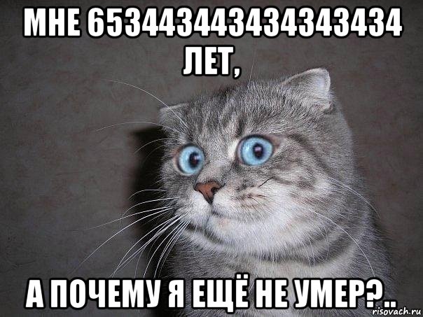 мне 653443443434343434 лет, а почему я ещё не умер?.., Мем  удивлённый кот