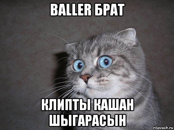 baller брат клипты кашан шыгарасын, Мем  удивлённый кот