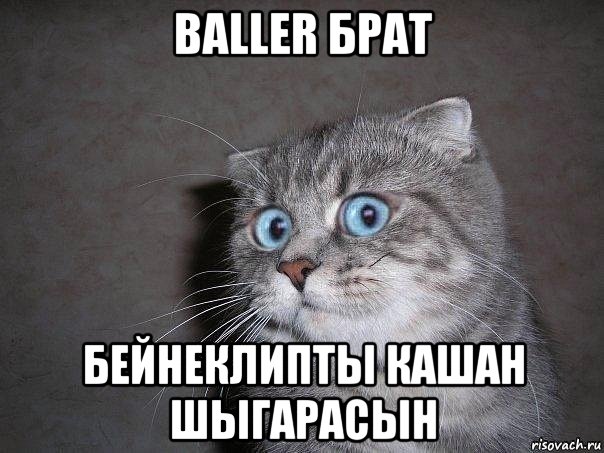 baller брат бейнеклипты кашан шыгарасын, Мем  удивлённый кот