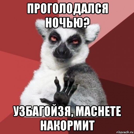 проголодался ночью? узбагойзя, machete накормит, Мем Узбагойзя