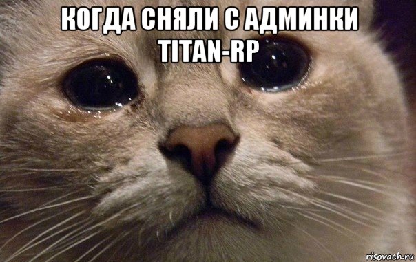 когда сняли с админки titan-rp , Мем   В мире грустит один котик