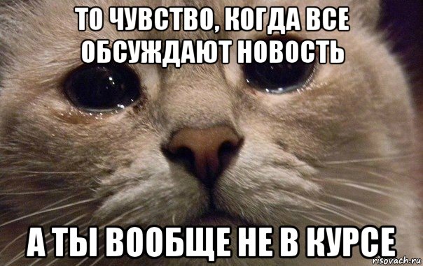 то чувство, когда все обсуждают новость а ты вообще не в курсе, Мем   В мире грустит один котик