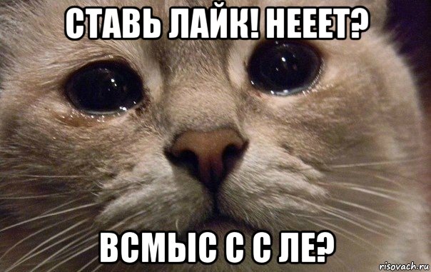 ставь лайк! нееет? всмыс с с ле?, Мем   В мире грустит один котик