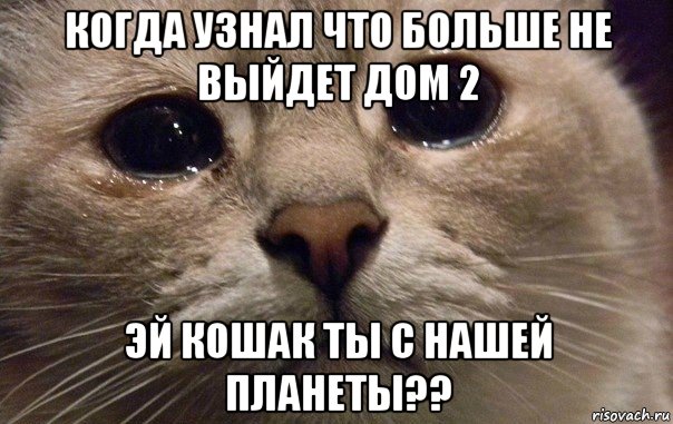 когда узнал что больше не выйдет дом 2 эй кошак ты с нашей планеты??, Мем   В мире грустит один котик