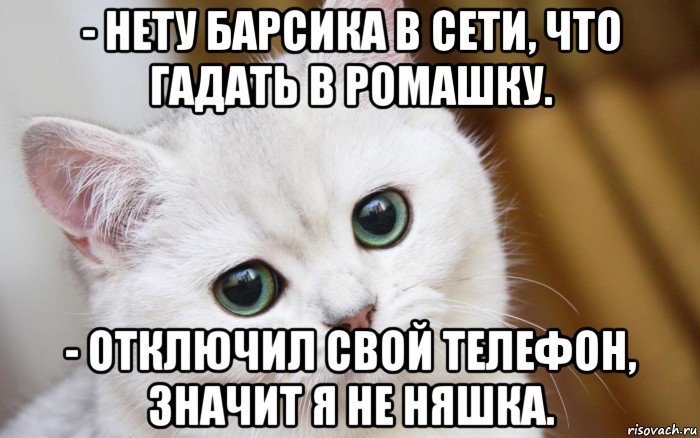 - нету барсика в сети, что гадать в ромашку. - отключил свой телефон, значит я не няшка., Мем  В мире грустит один котик