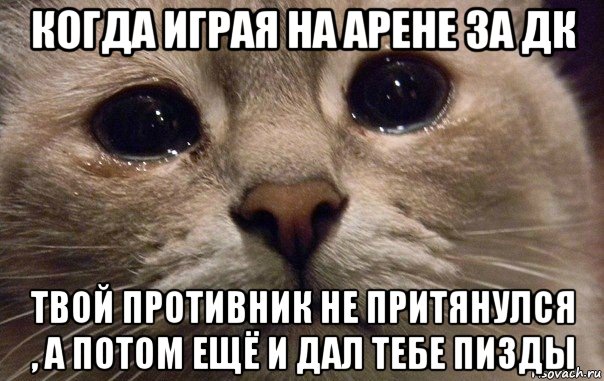 когда играя на арене за дк твой противник не притянулся , а потом ещё и дал тебе пизды, Мем   В мире грустит один котик