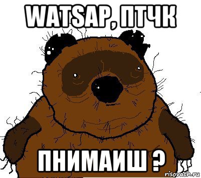 watsap, птчк пнимаиш ?