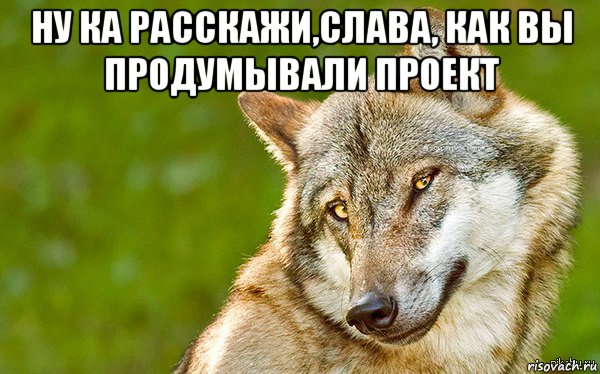 ну ка расскажи,слава, как вы продумывали проект , Мем   Volf