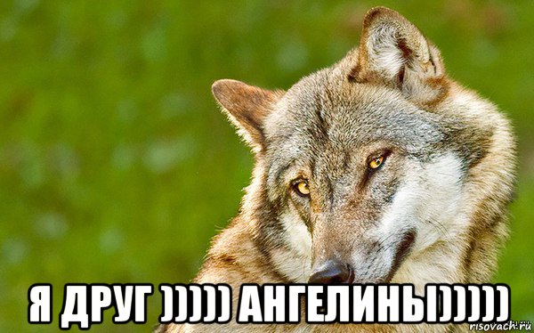  я друг ))))) ангелины))))), Мем   Volf